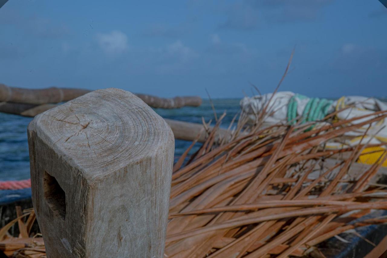 Afriican Village Zanzibar Michamvi Kae Ngoại thất bức ảnh