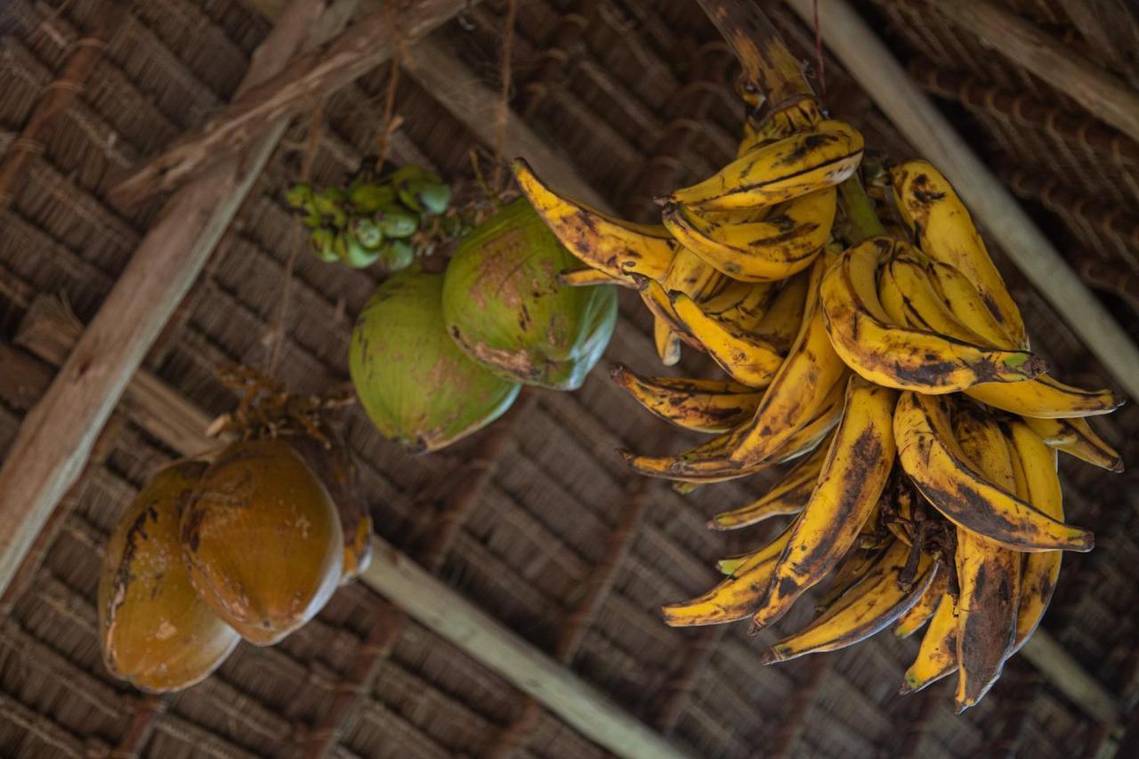 Afriican Village Zanzibar Michamvi Kae Ngoại thất bức ảnh