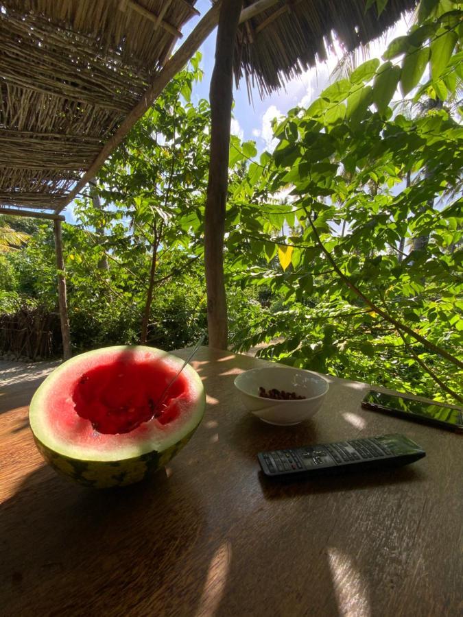 Afriican Village Zanzibar Michamvi Kae Ngoại thất bức ảnh