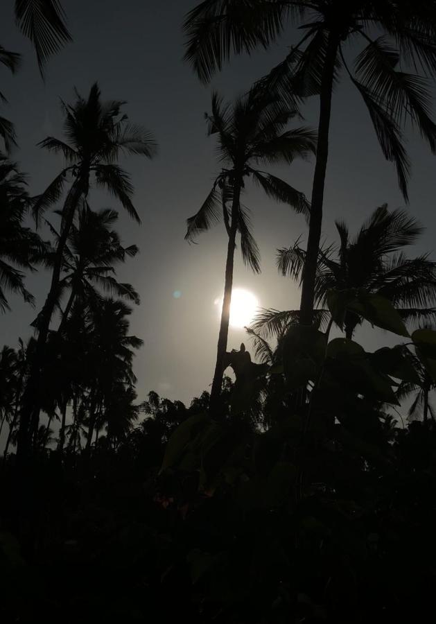 Afriican Village Zanzibar Michamvi Kae Ngoại thất bức ảnh
