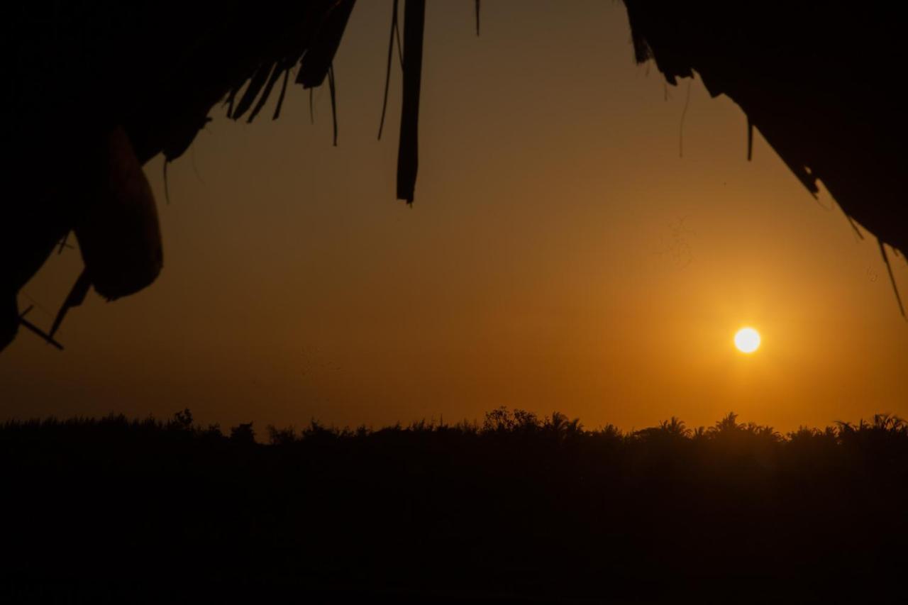 Afriican Village Zanzibar Michamvi Kae Ngoại thất bức ảnh